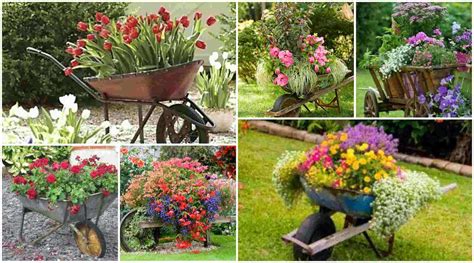 Old Wheelbarrow As A Planter 15 Great Ideas Diy Fun World