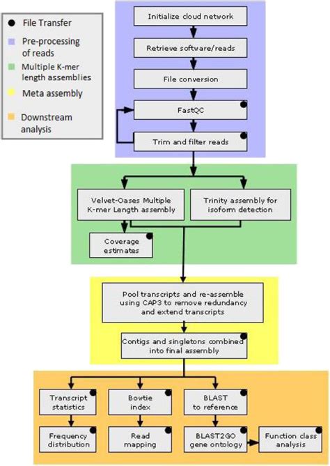 Flowchart Of The Bioinformatic Pipeline The Pipeline Performs Multiple Download Scientific