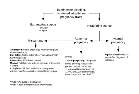 1st Trimester Bleeding Miscarriage Diagnosis Emergency Care Bc