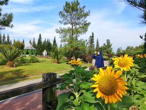 2020 top things to do in putrajaya. Harga Tiket Taman Saujana Hijau Putrajaya 2021 + Tips Pelawat