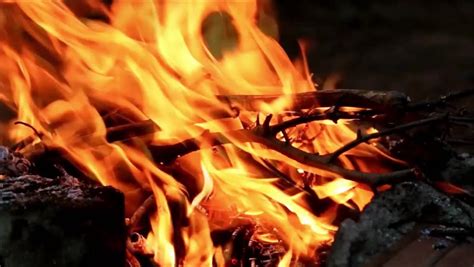 Closeup Of Campfire With Burning Stock Footage Video 100 Royalty Free