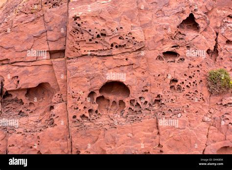 Rock Erosion Holes Hi Res Stock Photography And Images Alamy