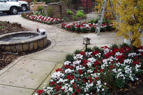 Fall And Winter Flower Beds Landscape Makeover Folsom And Sacramento