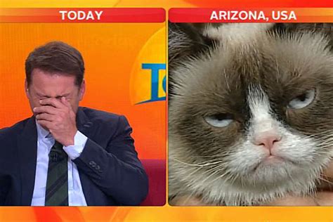 ‘grumpy Cat Is All The Rage Wherever She Goes