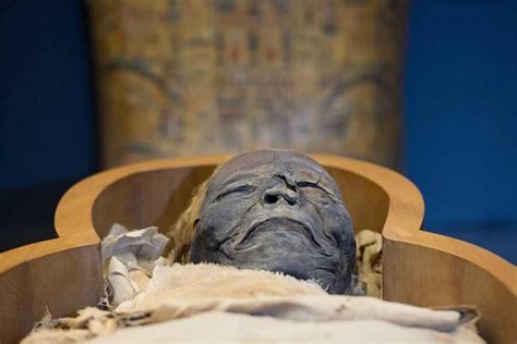 ancient egyptian papyrus reveals secrets to embalming the face nexus newsfeed