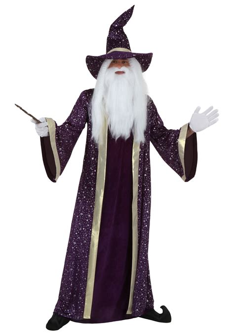 Mens Purple Wizard Costume