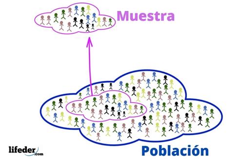 14 Ejemplos De Población Y Muestra