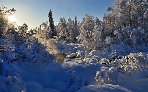 Wallpaper Trees Landscape Snow Winter Ice Frost River
