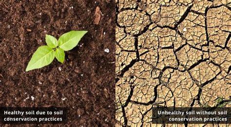 Explain The Different Methods Of Soil Conservation Journey Has Wang