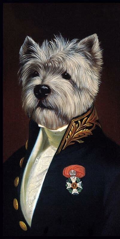 Portrait Of Dog Wearing Uniform Animal Portraits Art Dog Portraits
