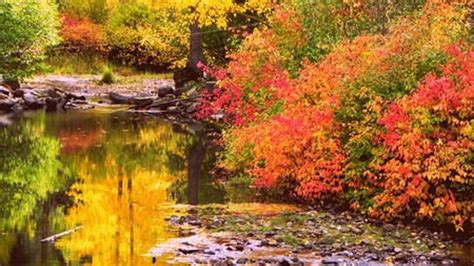 Red Green Yellow Orange Autumn Leaves Trees Reflection On Lake Hd