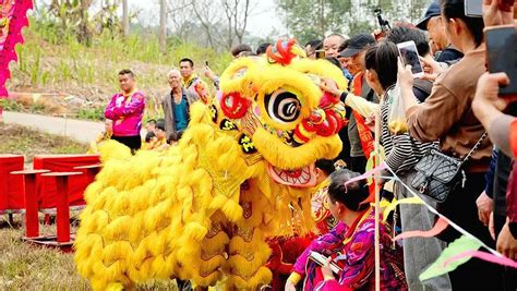 赏民俗、抢花炮这场“非遗”庙会特色十足 新华网