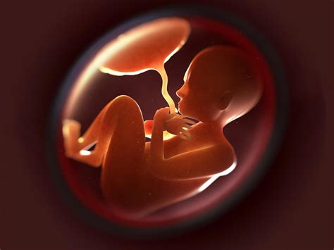 Does Autism Begin In The Womb Research Breakthrough May Lead To New