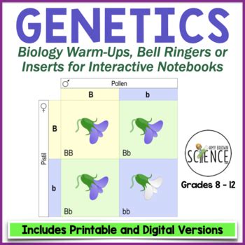 Genetics And Punnett Squares Warm Ups Snd Bell Ringers By Amy Brown Science