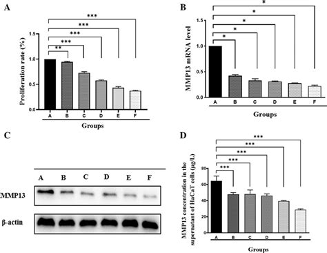 Effects Of Acitretin Treatment Or Nb Uvb Irradiation On Hacat Cells