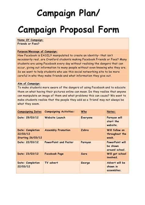 Political Campaign Plan Template
