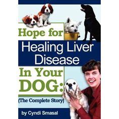 Liver disease, or canine liver disease (cld), is, unfortunately, a common illness when it comes to our furry best friends and can be incredibly although it may seem like quite an effort to constantly make homemade food for your dog, the prep time is relatively quick and it could add really improve. How to Feed Dogs With Liver Disease | Liver disease diet ...