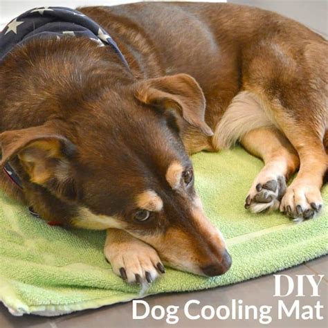 Diy Dog Cooling Mat Easy To Make Dog Cooling Bed And Pad