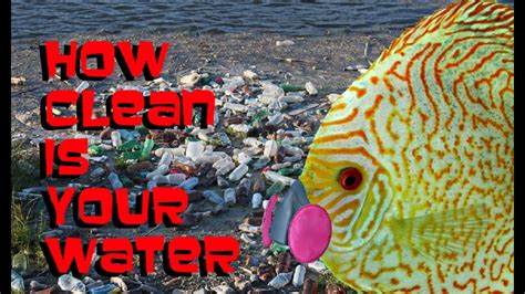 They are self contained and they create their own water to water themselves as needed. How Often Should You Do A Water Change? - YouTube