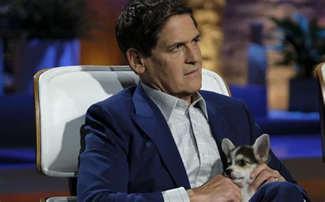Thinking about starting a business? Mark Cuban: 'I LOVE LOVE' What Reddit Users Are Doing | People Newspapers