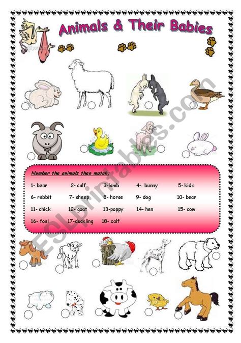 Animals And Their Babies Worksheet Animals With Their Babies