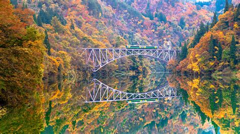 Learn More About Autumn Leaves Train No 1 Tadami River Bridge
