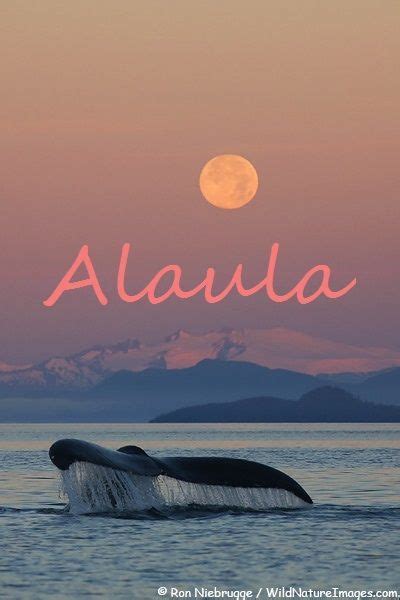 Alaula Girls Name Of Hawaiian Origin Meaning Light Of Dawn Or Sunset