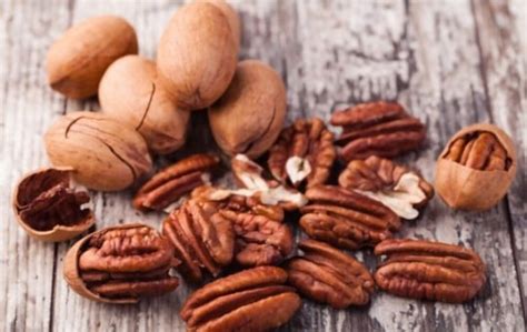 Delicious Replacements Top Substitutes For Hazelnuts Eat Delights