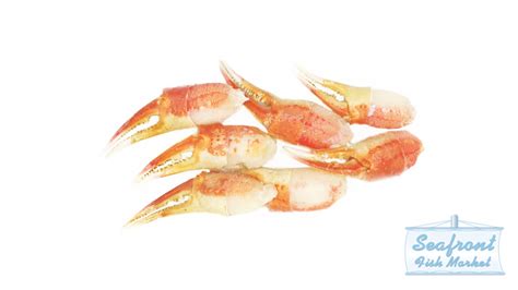 Crab — Seafront Fish Market