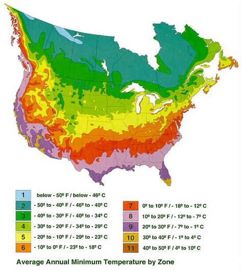 25 Usda Hardiness Zone Map Online Map Around The World