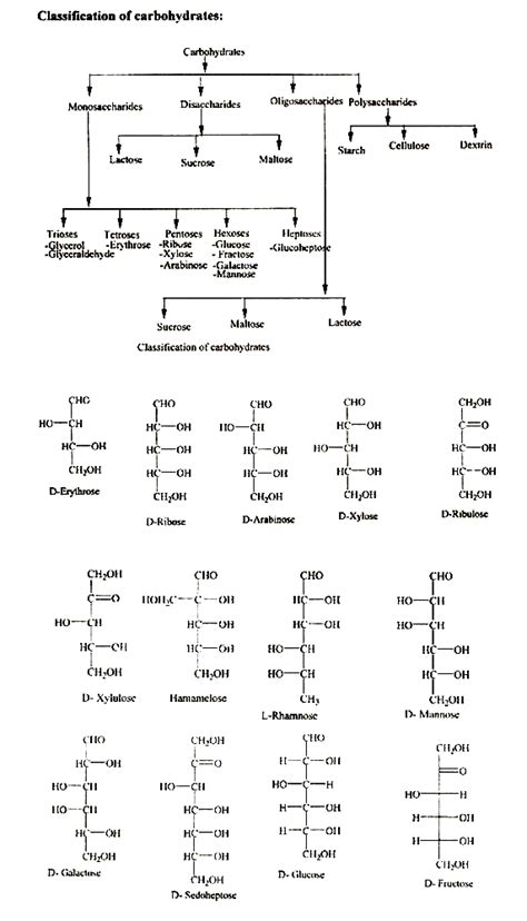 Classification of carbohydrates carbohydrates carbohydrates. Carbohydrates: Characteristics and Test (With Diagram)