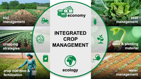 Integrated Crop Management