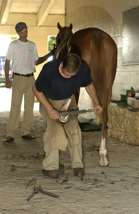 Canadian Association Of Professional Farriers Launched The Horse