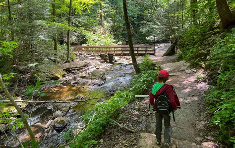 Falls Trail Ricketts Glen State Park Take A Hike