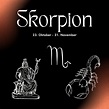 Sternzeichen Skorpion: Eigenschaften, Mystik und Sexualität! — Matcha ...