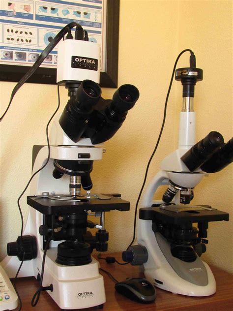 Microscopios Y C Maras Para Campo Oscuro Y Contraste De Fase Cursos