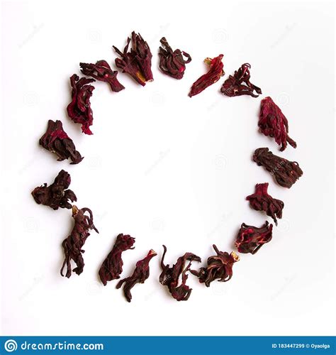 We did not find results for: Dried hibiscus flowers stock image. Image of karkade ...