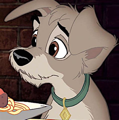 Scamp From Lady And The Tramp 2 Images Scamp Hd Wallpaper And