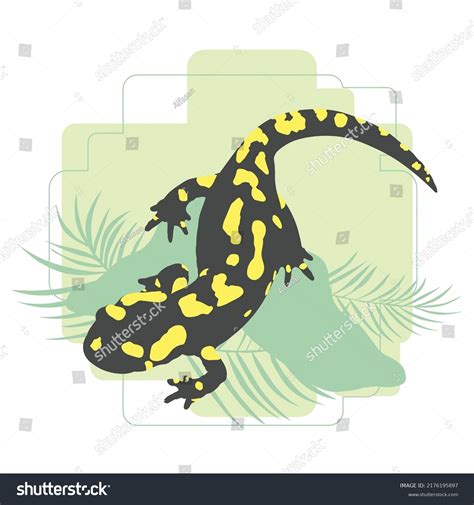 Spotted Salamander Illustration Vector Design Jungle Stock Vector