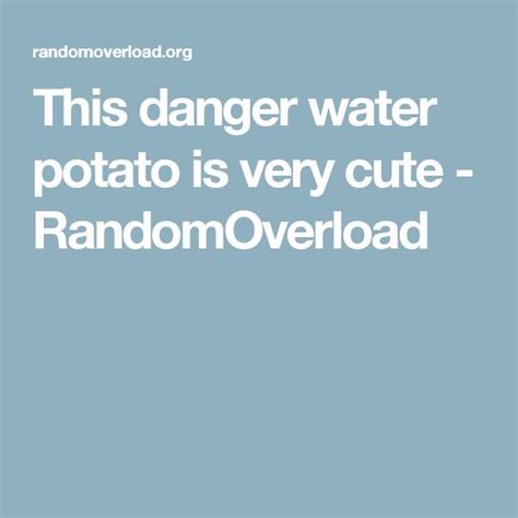 This Danger Water Potato Is Very Cute Cute Potatoes Dangerous