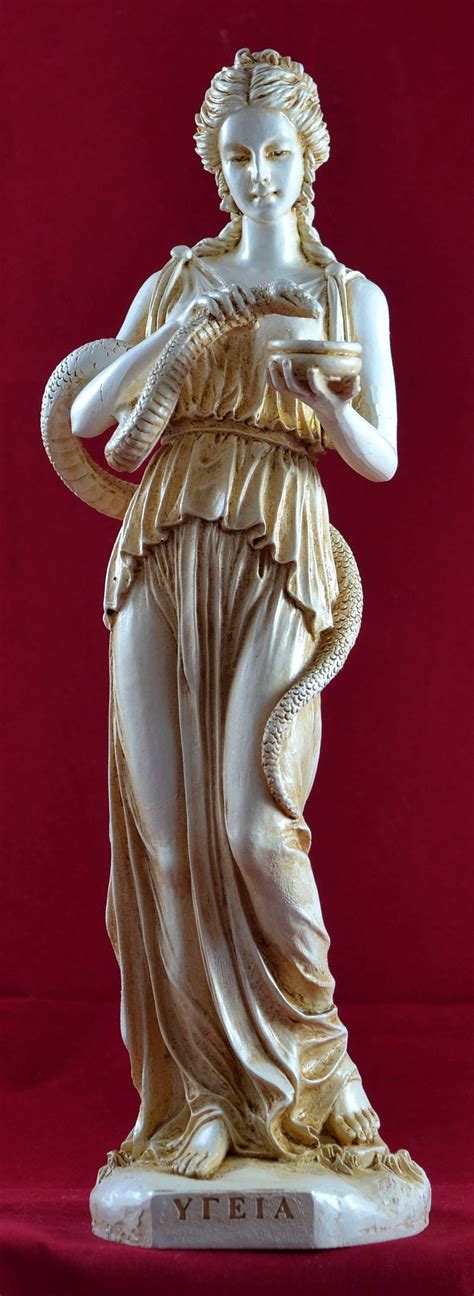 Hygeia Goddess Of Health Sanitation And Hygiene Statue Etsy