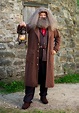 Plus Size-Deluxe Harry Potter Hagrid Costume