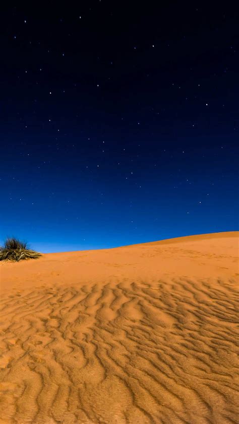 Night Sky In Desert Iphone Wallpaper Iphone Wallpapers