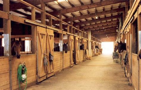 One sliding door and window per stall. Equamore Horse Sanctuary | Equamore Foundation