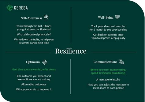 How To Build Resilience 4 Traits Every Leader Should Practice — Ceresa