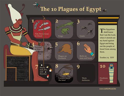 The 10 Plagues Of Egypt Inhisword