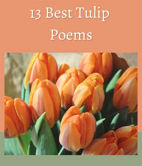 13 Best Tulip Poems For Spring