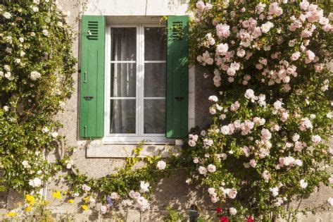 By frances perry, francesco bianchini, azzurra carrasa pantano. Roses Cover a House in the Village of Chedigny, Indre-Et ...