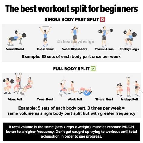 Day Split Free Weight Workout Kayaworkout Co