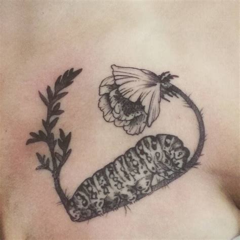 We did not find results for: Just got done tattooing the caterpillar and poppy!! # ...
